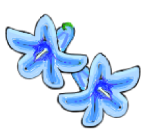 Bluebell Software logo